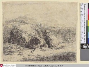 [Schafe in einer Landschaft; The lying sheep and two lambkins]