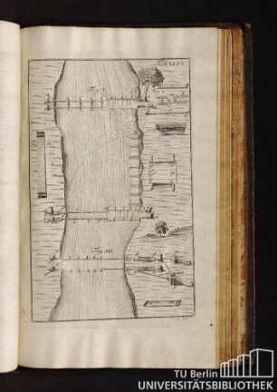 Tab. XLVI.