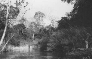 Mbenkurutal-Fluss bei Matarawe mit angelnden Knaben : Flusslandschaft mit einem angelnden Jungen