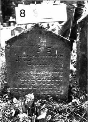 Grabstein 895 (Index: 100099263) Maße HxBxT: 62x47x10 cm Besonderheit: Kindergrab: Grabstein 895