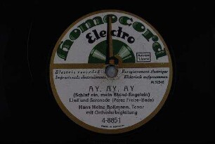 Ay, ay, ay (Schlaf ein, mein Blond-Engelein) : Lied und Serenade / (Perez Freire - Beda)