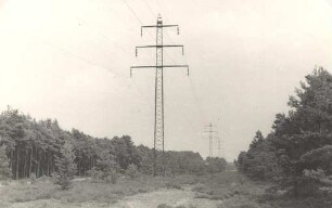 Waldlandschaft in der Nähe von Burg bei Hoyerswerda : Lěsna krajina wokoło Bórka blisko Wojerec