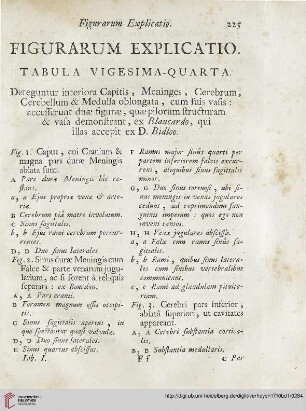 Figurarum explicatio: tabula Vigesima-quarta