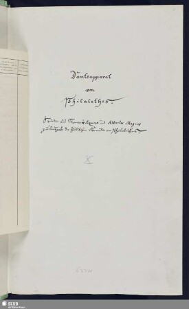 10: Studien aus Thomas de Aquino und Albertus Magnus zur Ausgabe der Göttlichen Komödie von Philalethes - Mscr.Dresd.e.91,Bd.10