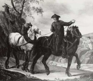Pferde mit Reiter