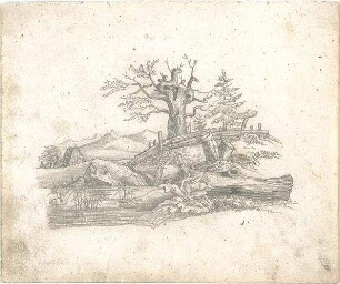 ohne Verfasserangabe; Landschaft, Bäume - Ansicht