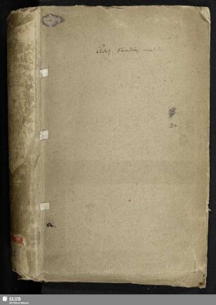 Nachrichten zur Geschichte adelicher Familien [Sammelhandschrift] - Mscr.Dresd.K.13.b