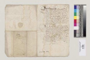 Hieronymus [II. Feury], Abt von St. Emmeram, bestellt Melchior Sturm, beider Rechte Lizentiat, zum Kanzler und Hofrichter des Reichsstifts St. Emmeram. S=A