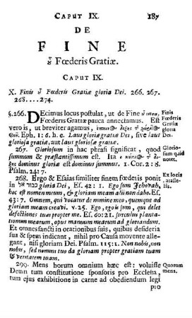 De Fine & Fœderis Gratiæ. Caput IX.