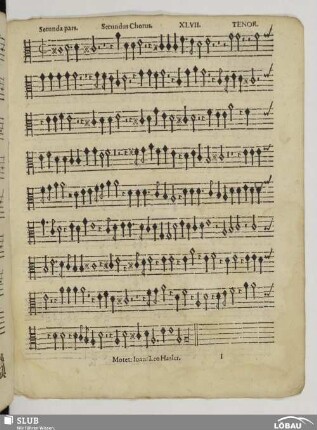 XLVII. Canzon noni toni. Secunda pars.