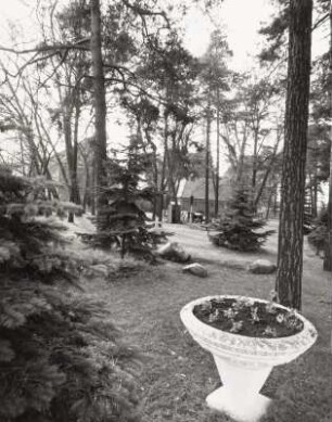 Park, Laubusch (Kreis Hoyerswerda)