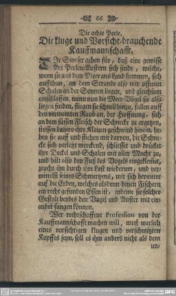 Die achte Perle. Die kluge und Vorsicht-brauchende Kauffmannschafft