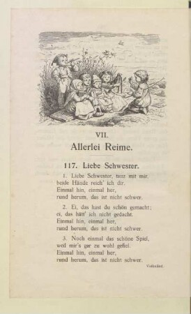 VII. Allerlei Reime