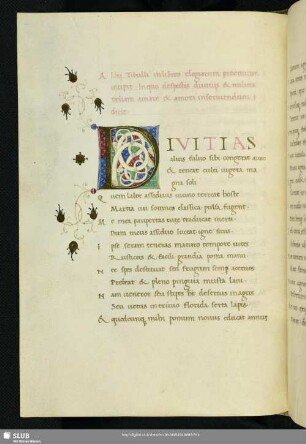 Bl. 155v-204r: Albii Tibulli in libros Elegiarum Prooemium incipit, in quo despectis divitiis et militia Deliam amare et amori inserviendum dicit.
