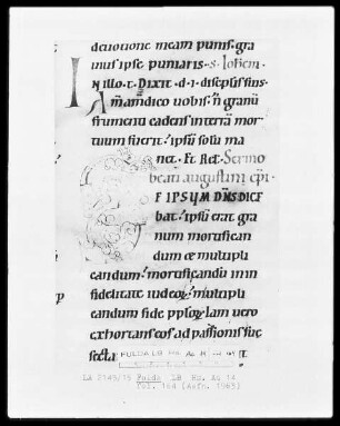 Lectionarium Matutinale — Initiale S, Folio 164recto