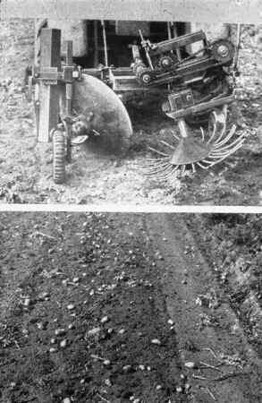 Fotografie: Erntetechnik, Kartoffel, Kartoffelroder