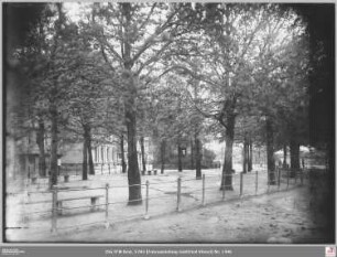 Sachsenhäuser Ufer am Ulrichstein und FärberStraße von Osten