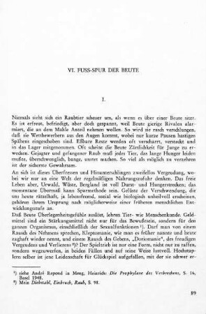 VI. Fußspur der Beute