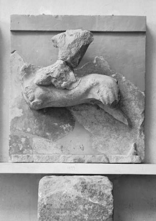 Metope: reitende Amazone