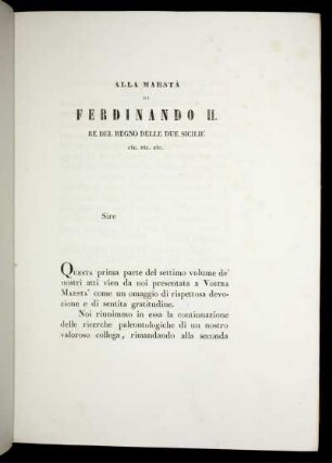 Alla Maesta di Ferdindando II.