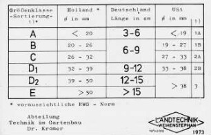 Größenklassen-Sortierung in Holland, Deutschland und den USA