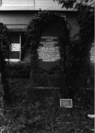 Grabstein 135 (Index: 100081299) Zustand: noch stehend Maße HxBxT: 185x70x32 cm: Grabstein 135