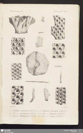 Pl. 602