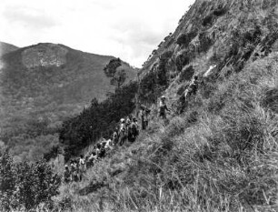 Bergbesteigung : Aufstieg des Expeditionszuges auf den Magamba.