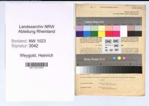Entnazifizierung Heinrich Weygold , geb. 01.05.1886 (Tierarzt)