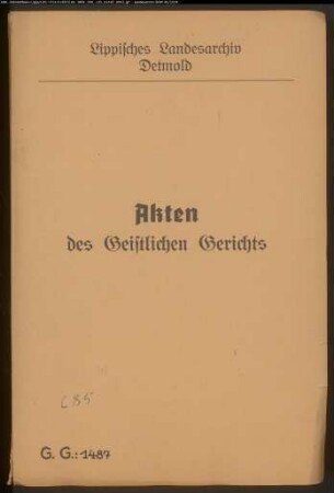 Johann Bartold Potthast, Bauerrichter in Talle gegen Trine Liesabeth Pothast, Tochter von Jobst Henrich Pothast in Talle, wegen einer Eheklage; Intervenient Heger Becker aus dem Kirchspiel Hohenhausen