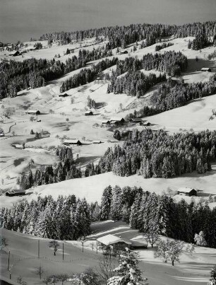 Winterlandschaft bei Weiler