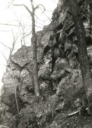 Oberlausitz. NSG Rotstein. Basaltklippen mit Eichenbestand