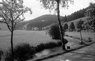 Bergtal unterhalb Hammereisenbach
