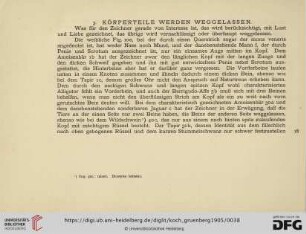 3. Körperteile werden weggelassen