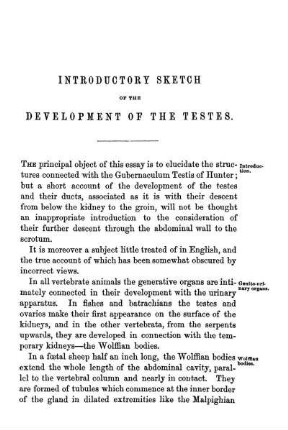 Introductory Sketch Of The Development Of The Testes.