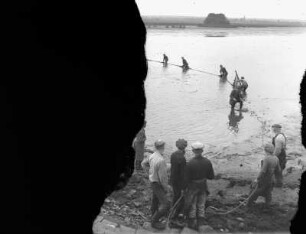 Teichfischerei : Teichfischerei Wermsdorf, Abfischen