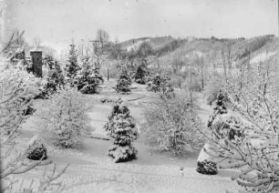 Burgruine im Winter