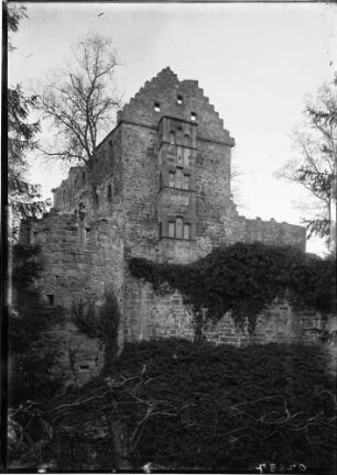 Minneburg Palas Ansicht von Südosten auf die Giebelwand