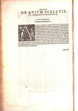 Capvt Primvm. De auium sceletis in genere.