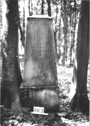 Grabstein 663 (Index: 99900573) Material: Sandstein Zustand: angewittert Maße HxBxT: 149x43x29 cm Beschreibung: Obelisk: Grabstein 663
