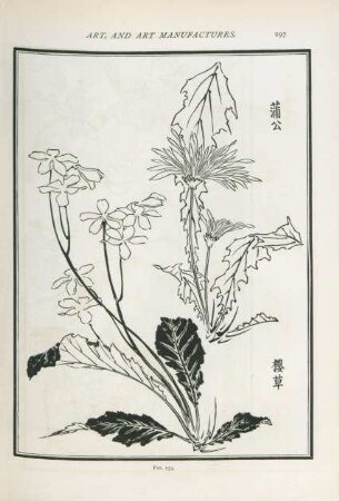 Fig. 133.