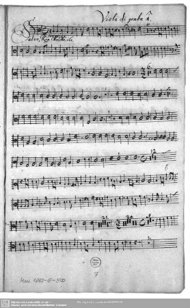 Viola di gamba 1.