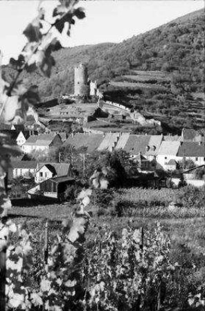 Kaysersberg: Schloss, Vordergrund Weinstöcke