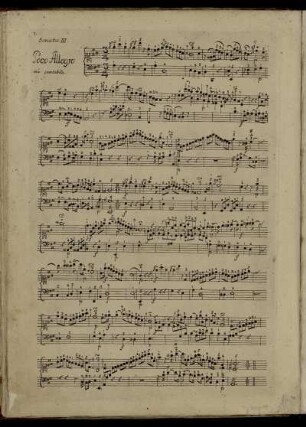 Sonata III.