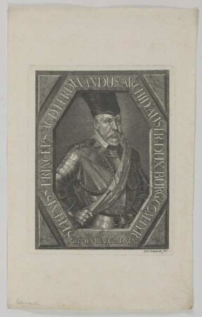 Bildnis des Erzherzogs Ferdinandus von Tirol