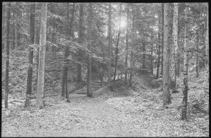Rochlitz. Promenadenweg im Buchenhain
