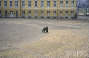 Berlin, Schloss Charlottenburg, Ehrenhof / Schlossplatz.