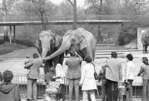 Besuch im Stadtgarten und Zoo an Ostern 1976