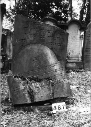 Grabstein 487 (Index: 99629988) Material: Sandstein Zustand: 4-mal zerbrochen, 3-mal repariert/Textver Maße HxBxT: 168x71x9 cm Beschreibung: Stele mit eingezogenem Rundbogenabschluß: Grabstein 487