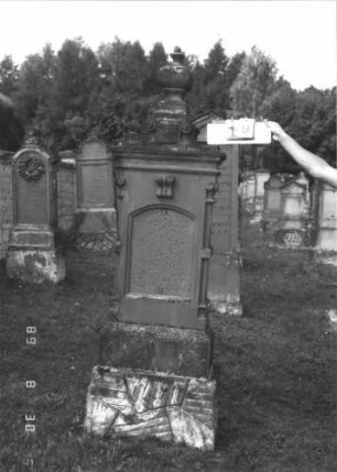 Grabstein 19 (Index: 99609655) Material: Sandstein Zustand: verwittert, Schriftplatte fehlt Maße HxBxT: 224x63x31 cm Beschreibung: Stele, Abdeckplatte, Aufsatz, von Urne bekrönt, Schriftplatte mit Segmentbogenabschluß fehlt, getreppter Sockel, unten Rusticaimitat Symbolik: Urne: Grabstein 19